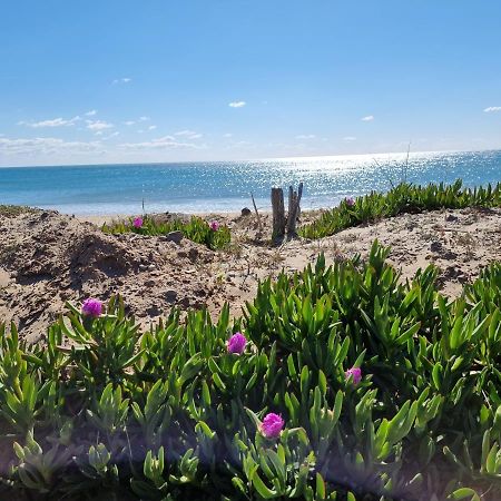 207 Cap D'Agde Naturiste Grand T2 De Standing Avec Garage Exteriér fotografie